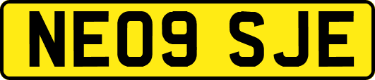 NE09SJE