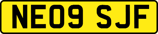 NE09SJF