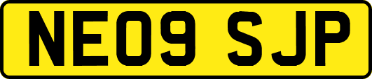 NE09SJP