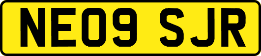 NE09SJR