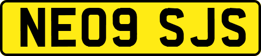 NE09SJS