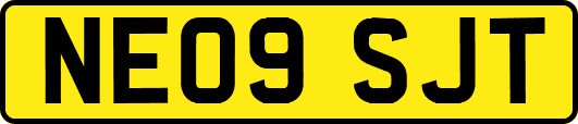 NE09SJT