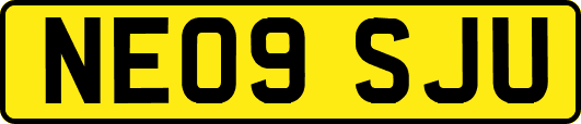 NE09SJU