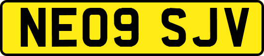NE09SJV