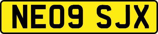 NE09SJX