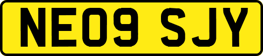 NE09SJY