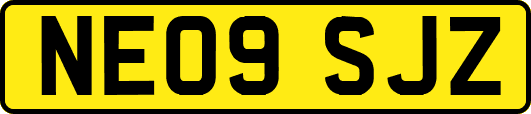 NE09SJZ
