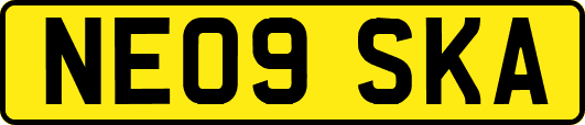 NE09SKA