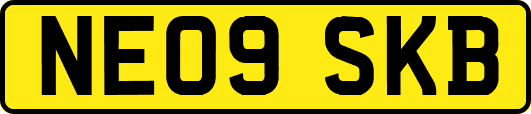 NE09SKB