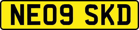 NE09SKD
