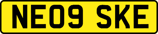 NE09SKE