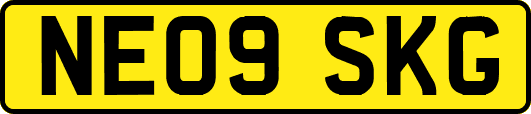 NE09SKG