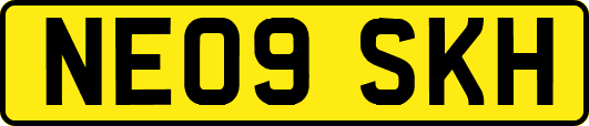 NE09SKH
