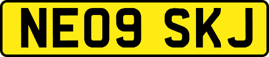 NE09SKJ
