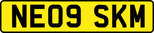 NE09SKM