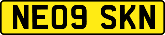 NE09SKN