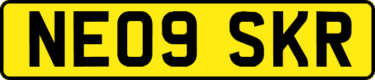 NE09SKR