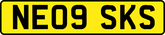 NE09SKS