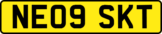 NE09SKT
