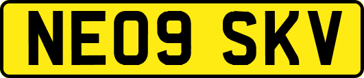 NE09SKV