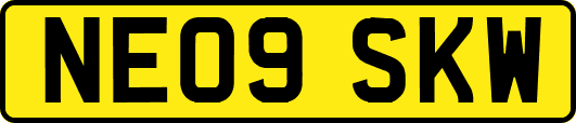 NE09SKW