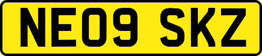 NE09SKZ
