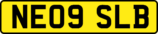 NE09SLB