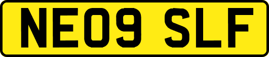 NE09SLF