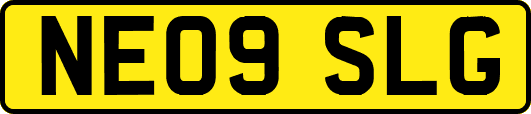 NE09SLG