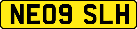 NE09SLH