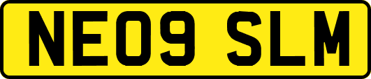 NE09SLM