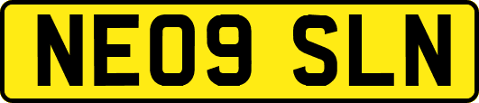 NE09SLN