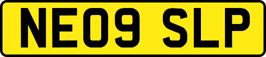 NE09SLP