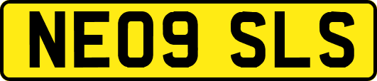 NE09SLS