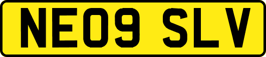 NE09SLV