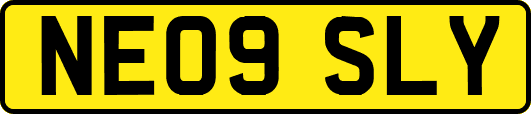 NE09SLY