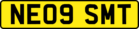 NE09SMT