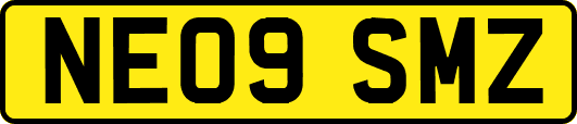 NE09SMZ