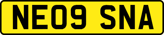 NE09SNA