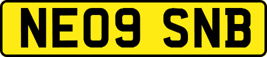 NE09SNB