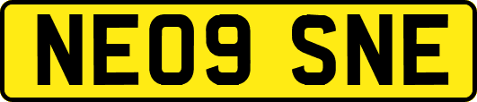 NE09SNE