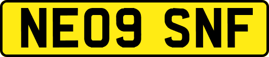 NE09SNF
