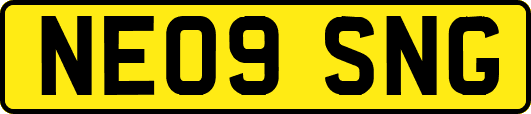 NE09SNG