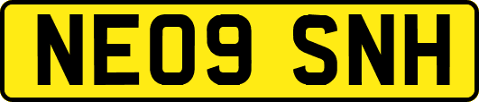 NE09SNH