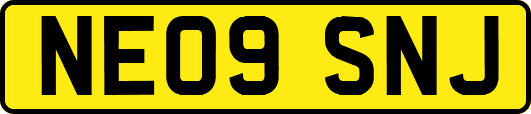 NE09SNJ