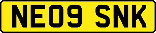 NE09SNK