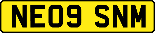 NE09SNM