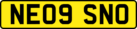 NE09SNO