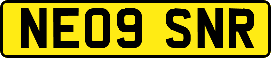 NE09SNR