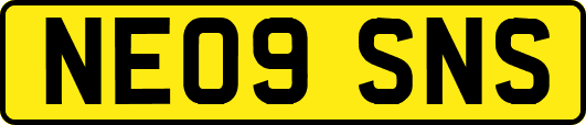 NE09SNS